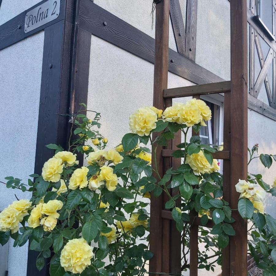 Nadmorskie Apartamenty Ustka Eksteriør billede